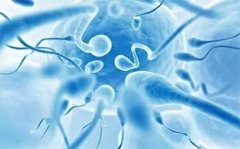 男方精子成活率低，有死精症能做泰国试管吗？