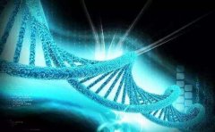 第三代泰国试管婴儿，系统了解PGD、PGS、NGS
