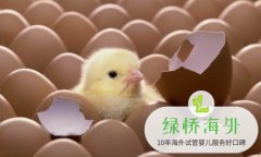 卵子不好做泰国试管需要多少费用？