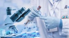 想泰国试管一次成功，移植后48小时很重要